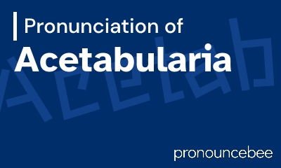 how to pronounce acetabularia feature image