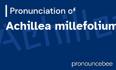 how to pronounce achillea-millefolium feature image