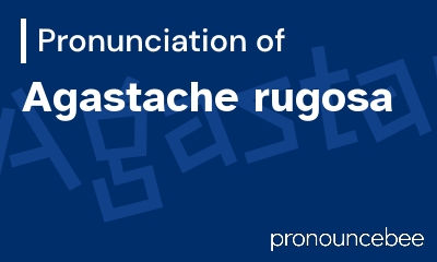 how to pronounce agastache-rugosa feature image