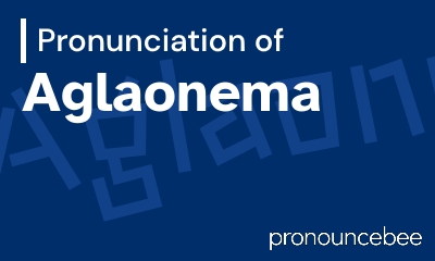 how to pronounce aglaonema feature image
