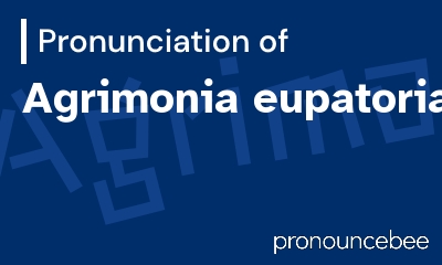 how to pronounce agrimonia-eupatoria feature image