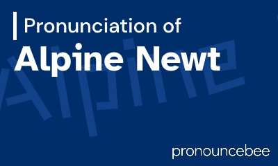 how to pronounce alpine-newt feature image