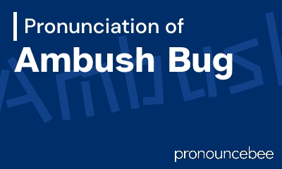 how to pronounce ambush-bug feature image