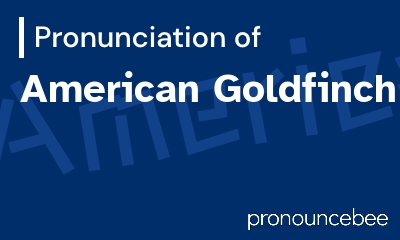 how to pronounce american-goldfinch feature image