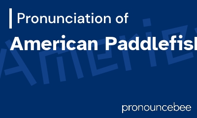 how to pronounce american-paddlefish feature image