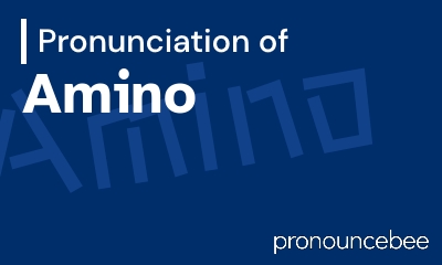 how to pronounce amino feature image