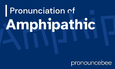 how to pronounce amphipathic feature image