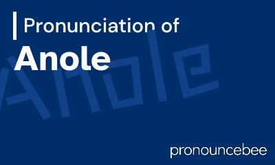 how to pronounce anole feature image