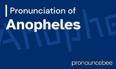 how to pronounce anopheles feature image