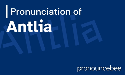 how to pronounce antlia feature image