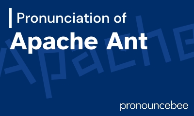 how to pronounce apache-ant feature image