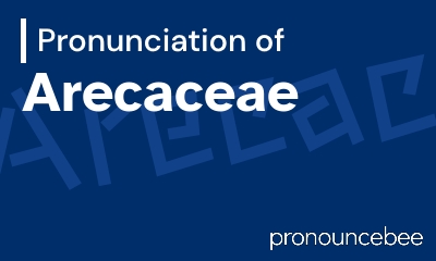 how to pronounce arecaceae feature image