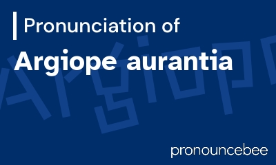 how to pronounce argiope-aurantia feature image