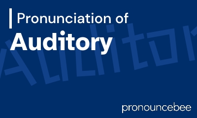 how to pronounce auditory feature image