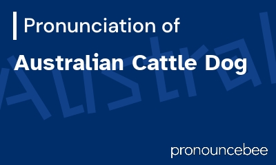 how to pronounce australian-cattle-dog feature image