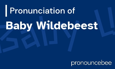 how to pronounce baby-wildebeest feature image