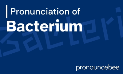 how to pronounce bacterium feature image