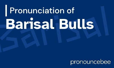 how to pronounce barisal-bulls feature image