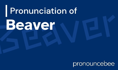 how to pronounce beaver feature image