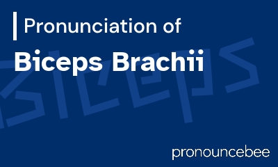 how to pronounce biceps-brachii feature image