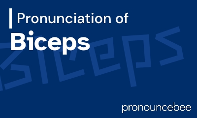 how to pronounce biceps feature image