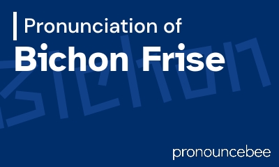how to pronounce bichon-frise feature image