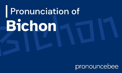 how to pronounce bichon feature image
