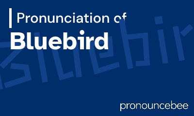 how to pronounce bluebird feature image