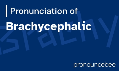 how to pronounce brachycephalic feature image