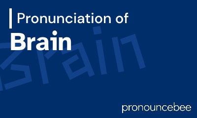 how to pronounce brain feature image