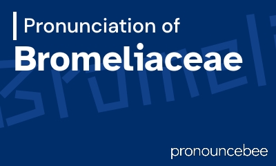 how to pronounce bromeliaceae feature image