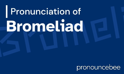 how to pronounce bromeliad feature image