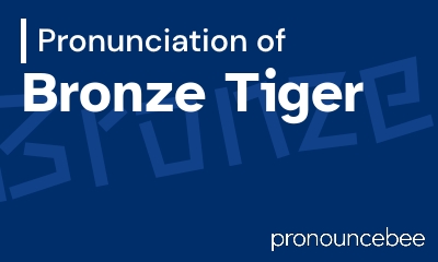 how to pronounce bronze-tiger feature image