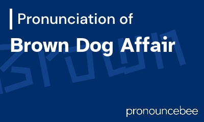 how to pronounce brown-dog-affair feature image