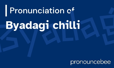 how to pronounce byadagi-chilli feature image