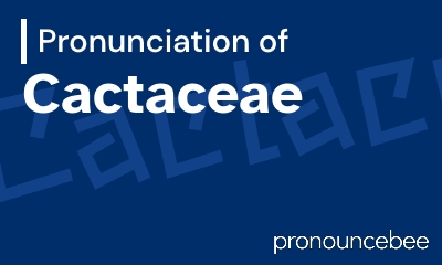 how to pronounce cactaceae feature image