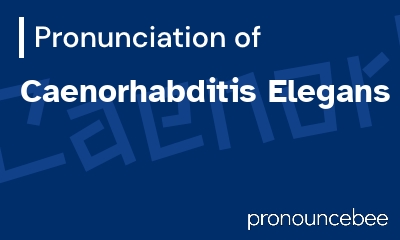 how to pronounce caenorhabditis-elegans feature image