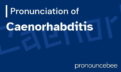 how to pronounce caenorhabditis feature image