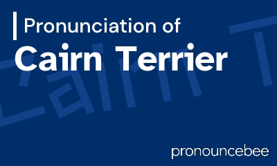 how to pronounce cairn-terrier feature image