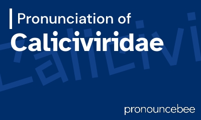 how to pronounce caliciviridae feature image