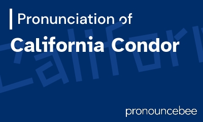 how to pronounce california-condor feature image
