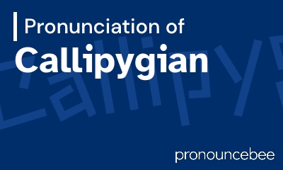 how to pronounce callipygian feature image