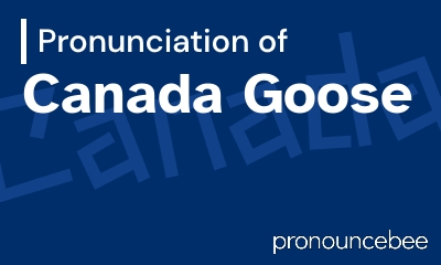 how to pronounce canada-goose feature image