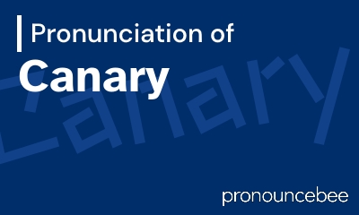how to pronounce canary feature image