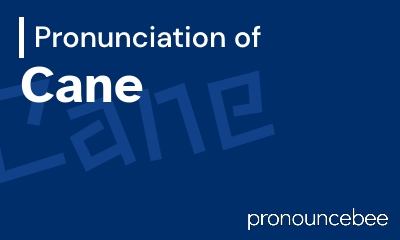 how to pronounce cane feature image