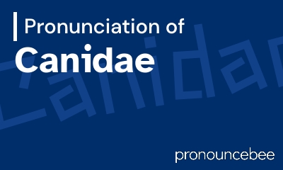 how to pronounce canidae feature image