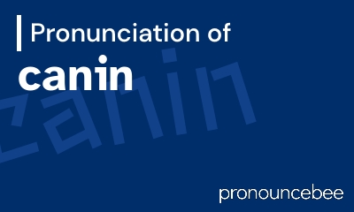 how to pronounce canin feature image