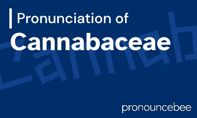 how to pronounce cannabaceae feature image