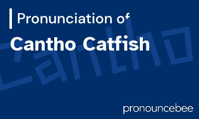 how to pronounce cantho-catfish feature image