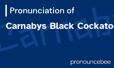 how to pronounce carnabys-black-cockatoo feature image